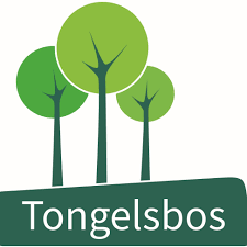 Logo 4